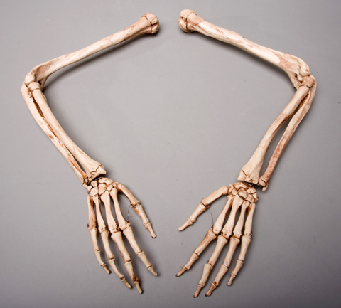 Sm370da Aged Skeleton Arms Left And Right
