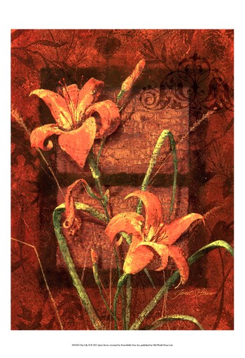 Hand Colored Owp45924d Day Lily Ii Poster By Janet Stever (13.00 X 19.00)
