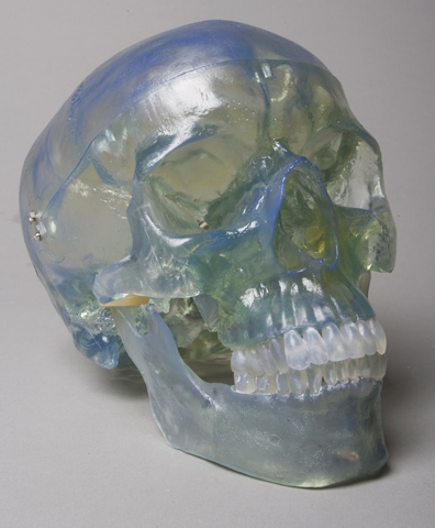 Sm200dc Clear Skull