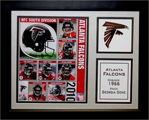 Encore Select 143FBATL 2010 Atlanta Falcons 11x14 Stat Frame