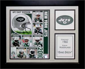 Encore Select 143FBNYJ 2010 New York Jets 11x14 Stat Frame