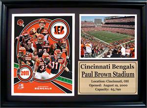 Encore Select 181FBCIN2011 2011 Cincinnati Bengals 12x18 Photo Stat Frame