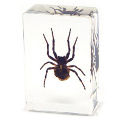 Pw114 Small Paperweight - Spider