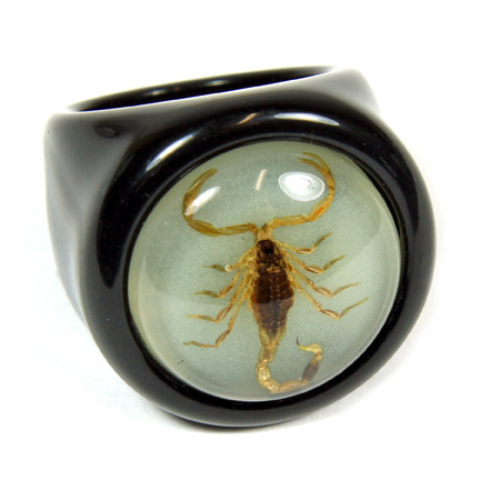 R0013-6 Gold Scorpion Black Ring With Glow In Dark Back - Size 6