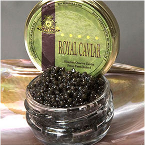 12907 7oz Royal Siberian Ossetra Caviar - Acipenser Baerri