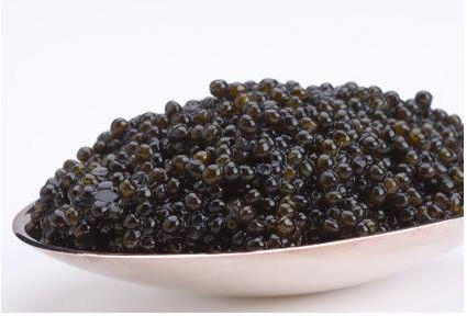 13007 7oz-200g Hackleback Caviar