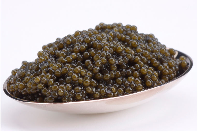 13107 7oz-200g Paddlefish Caviar