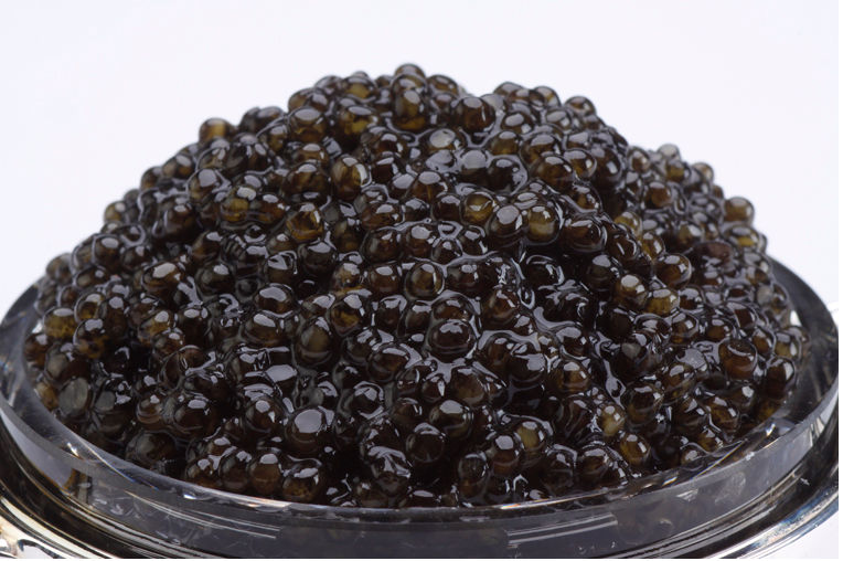 12708 8.75oz-250gr White Sturgeon Caviar