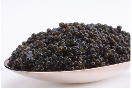 13008 8.75oz-250g Hackleback Caviar