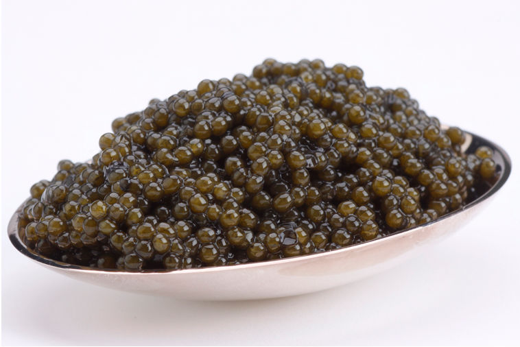 13108 8.75oz-250g Paddlefish Caviar