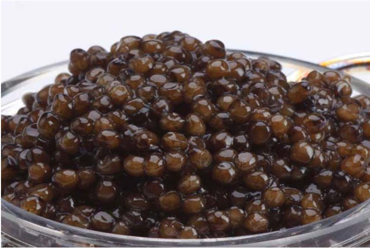 11601 1oz-28g Kaluga Caviar - Dark Brown With Clear Glossy Finish