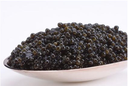 13001 1oz-28g Hackleback Caviar - Foods