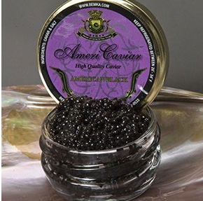13201 Bowfin Caviar - Black