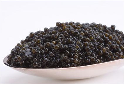 13016 16oz-450g Hackleback Caviar