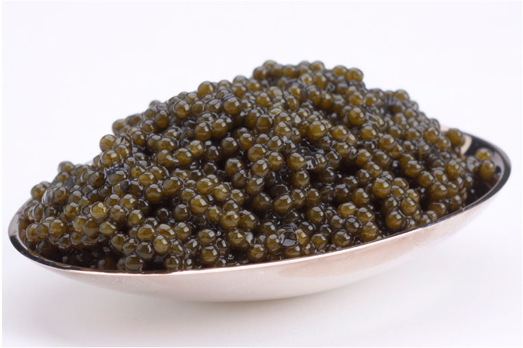 13117 17.5oz-500g Paddlefish Caviar