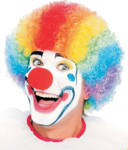 313 Colored Clown Wig