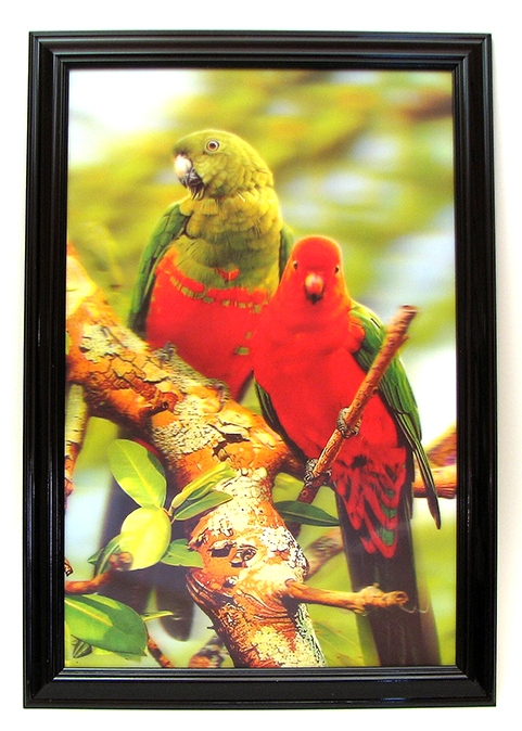 0126-3d2904 25.75"w X 17.75"h Parrot 3-d Picture With Wooden Frame