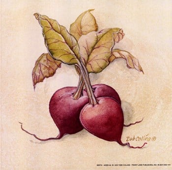 Co-pen Beets Poster Print By Deb Collins -6 X 6