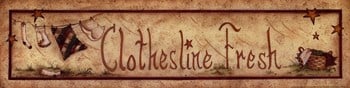 Co-pen Clothesline Fresh Poster Print By Mary Ann June -20 X 5