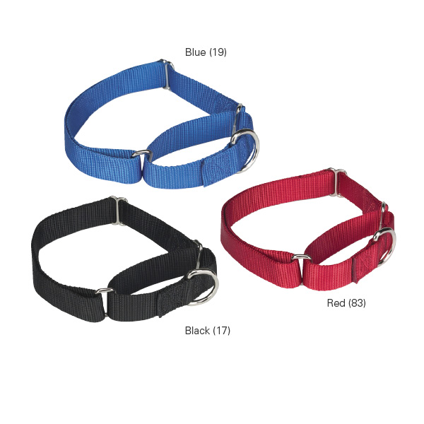 Gg Nylon Martingale Collar 10-16 In Red