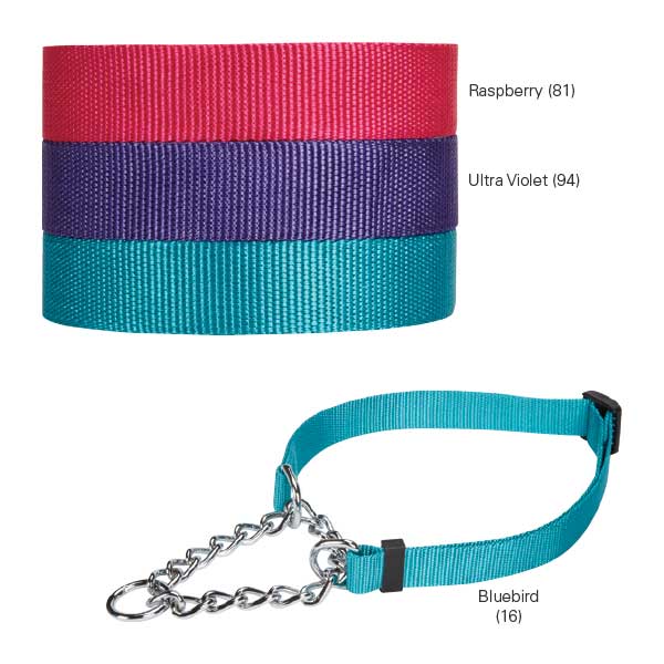 Picture for category Bully Collars