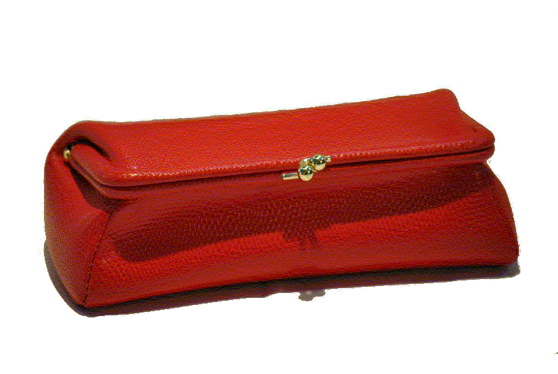 552201l-9 Framed Lizard Calf Cosmetic Case - Red