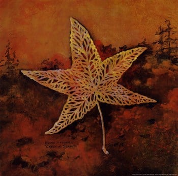 Co-pen Catch A Star Poster Print By Diane Knowles -12 X 12