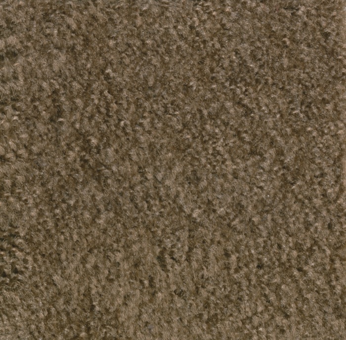 2100.703 Mt. St. Helens Solids 6 Ft. X 9 Ft. Rectangle Carpet - Mocha