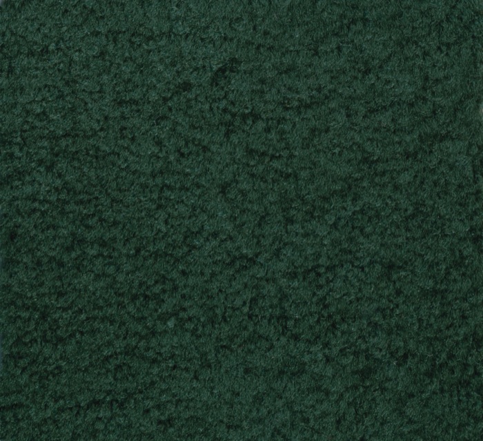 2112.306 Mt. St. Helens Solids 8.33 Ft. X 12 Ft. Rectangle Carpet - Emerald