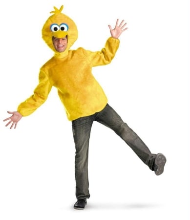 Dg50631d Sesame St Big Bird Adult 42-46