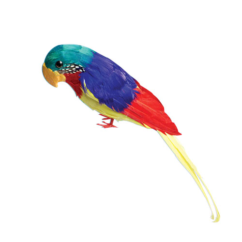 Hl182 Feather Parrot