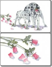 Rainbow Card Company Double Deck Playing Cards Polka Dot And Moonbeam - Roses