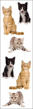 Mrs Grossman MG199-04413 Mrs. Grossmans Stickers-Adorable Kittens Mrs Grossman MG199-04413 Mrs. Grossmans Stickers-Adorable Kittens