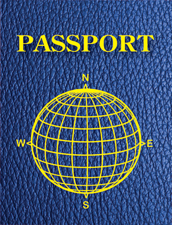 Ash10708 Blank Passports Pack Of 12