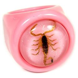 R0022-6 Gold Scorpion Pink Ring With Pink Background - Size 6