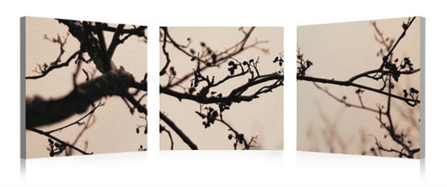 Artistic Bliss Wall Art