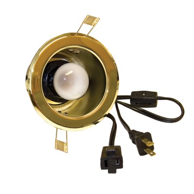 Sl2020.2422 Can Clip Mount 40w Frost Switch - Polished Brass