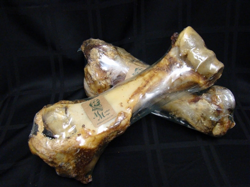 Mm01061 Dino Bone 6-case