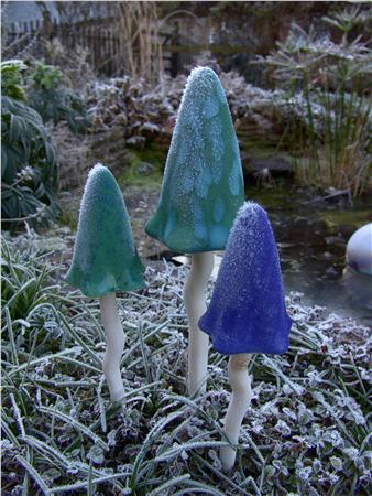 W119 Tinkling Toadstools - Set Of 3 Winter - Gift-boxed