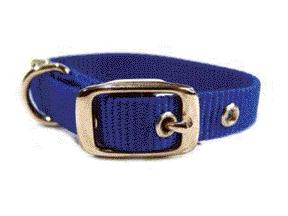 - Single Thick Nylon Dog Collar- Blue .63 X 12 - St 12bl
