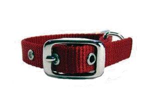 - Single Thick Nylon Dog Collar- Red .63 X 12 - St 12rd