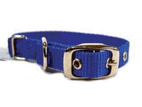 - Single Thick Nylon Dog Collar- Blue .63 X 14 - St 14bl