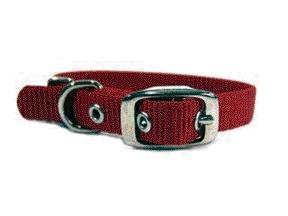 - Single Thick Nylon Dog Collar- Red .63 X 14 - St 14rd