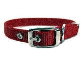 - Single Thick Nylon Dog Collar- Red .63 X 16 - St 16rd