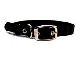 - Single Thick Nylon Dog Collar- Black .63 X 16 - St 16bk