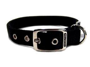 Double Thick Nylon Dog Collar- Black 1 X 22 - Dd 22bk