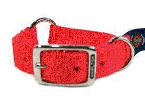 - Safe-rite Dog Collar With Tape- Orange 1 X 18 - Sr-tape 18or