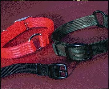 Safe-rite Dog Collar With Tape- Orange 1 X 22 - Sr-tape 22or