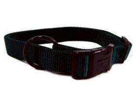 - Adjustable Dog Collar- Hunter Green 1 X 18-26 - Fal 18-26 Dg