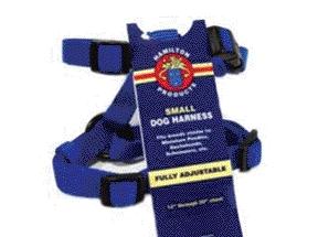 Adjustable Dog Harness- Blue .63 X 12-20 - Cfa Smbl